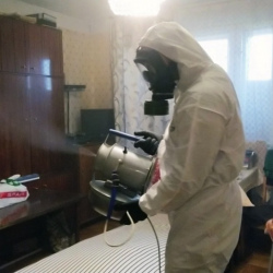 Дезинфекция от клопов в Пикалево