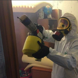 Уничтожение клопов в квартире. Пикалево